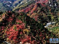  红叶漫山秋意浓