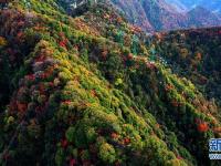 秋色绚烂少华山