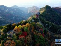  秋色绚烂少华山