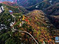  秋色绚烂少华山