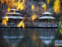  多彩秋色“绘”泉城