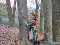 隆回县虎形山瑶族乡崇木凼古树林风景如画