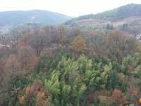 隆回县虎形山瑶族乡崇木凼古树林风景如画