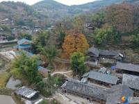 隆回县虎形山瑶族乡崇木凼古树林风景如画