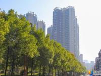 醉美邵阳：在城市美景中享冬日暖阳