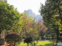 醉美邵阳：在城市美景中享冬日暖阳