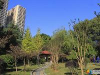 醉美邵阳：在城市美景中享冬日暖阳