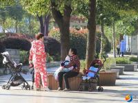 醉美邵阳：在城市美景中享冬日暖阳