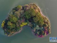  福建漳州：生态碧湖鸟翩飞