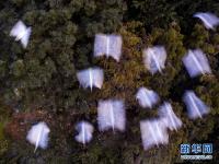  福建漳州：生态碧湖鸟翩飞