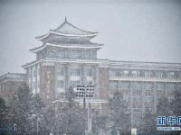  吉林长春大雪纷飞