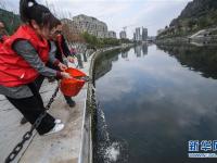  杭州临安：守护美丽河道 共建绿色家园