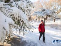 雪后盛京美如画