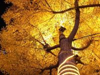  “黄金大道”炫彩天水