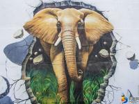 大祥区罗塘村3D立体画“跳”上村民围墙