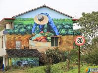 大祥区罗塘村3D立体画“跳”上村民围墙