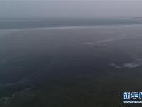  红碱淖上冬来客