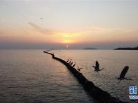  落日余晖映巢湖