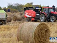  江西南昌：农田秸秆回收忙