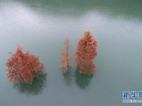  秦巴明珠 瑰丽瀛湖