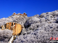  泰山雪后风景如画