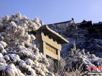 泰山雪后风景如画