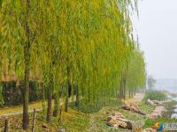 邵水河畔添新景 市民打卡好去处