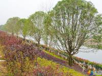 邵水河畔添新景 市民打卡好去处