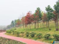 邵水河畔添新景 市民打卡好去处