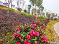 邵水河畔添新景 市民打卡好去处