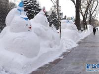  哈尔滨：2020个雪人迎接2020年