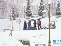 塔什干降雪
