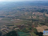 广西鹿寨：田园冬景