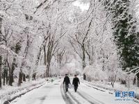 塔什干降雪