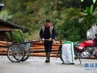 爱心送苗助春耕