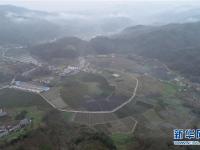 陕西汉滨：三月茶园忙