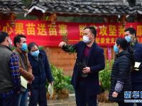 爱心送苗助春耕