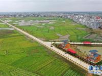 春到乡村