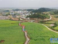 春到乡村