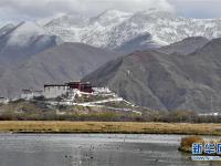 春暖拉鲁湿地