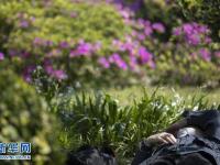 武汉：江滩春日