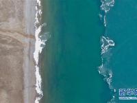 青海湖“开湖”