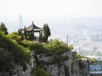 济南：佛慧山春意浓