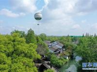 西溪湿地：春光旖旎又花朝