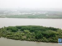 哈尔滨：湿地展画卷