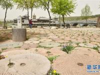 固废利用 美化景区