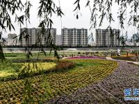 陕西宝鸡：渭河生态景观美