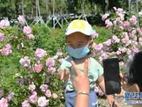 长春：花开迎客来