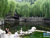 济南：护城河畔夏意渐浓