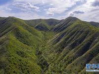 绿染西海固